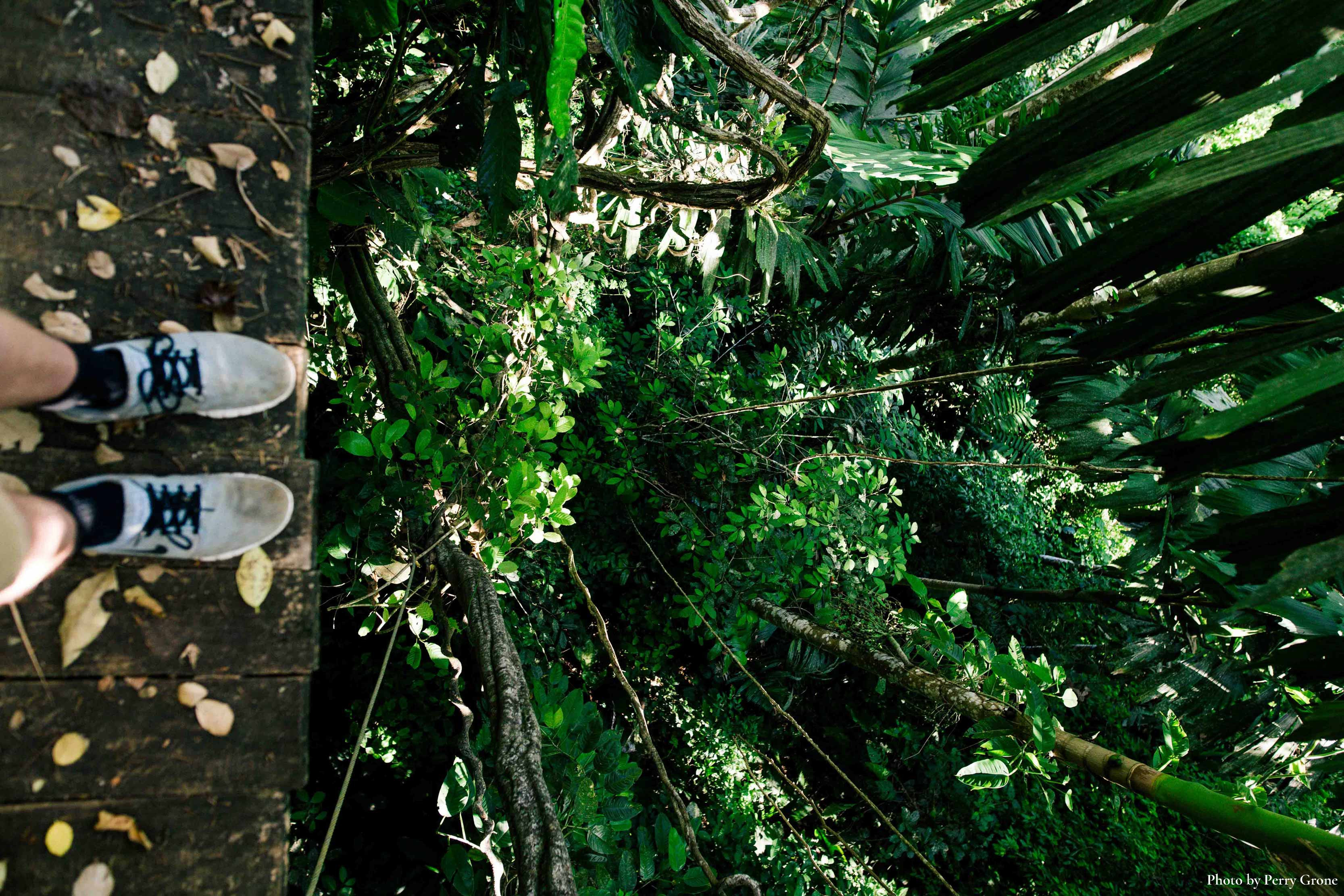 ZIP LINE GUANACASTE NATIONAL FOREST 