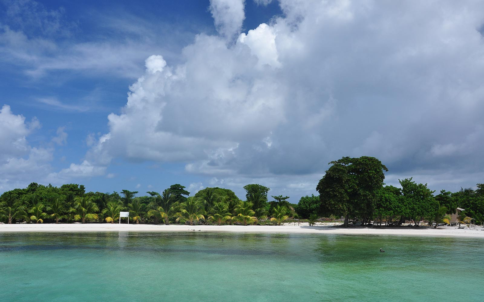 Laughing Bird Caye