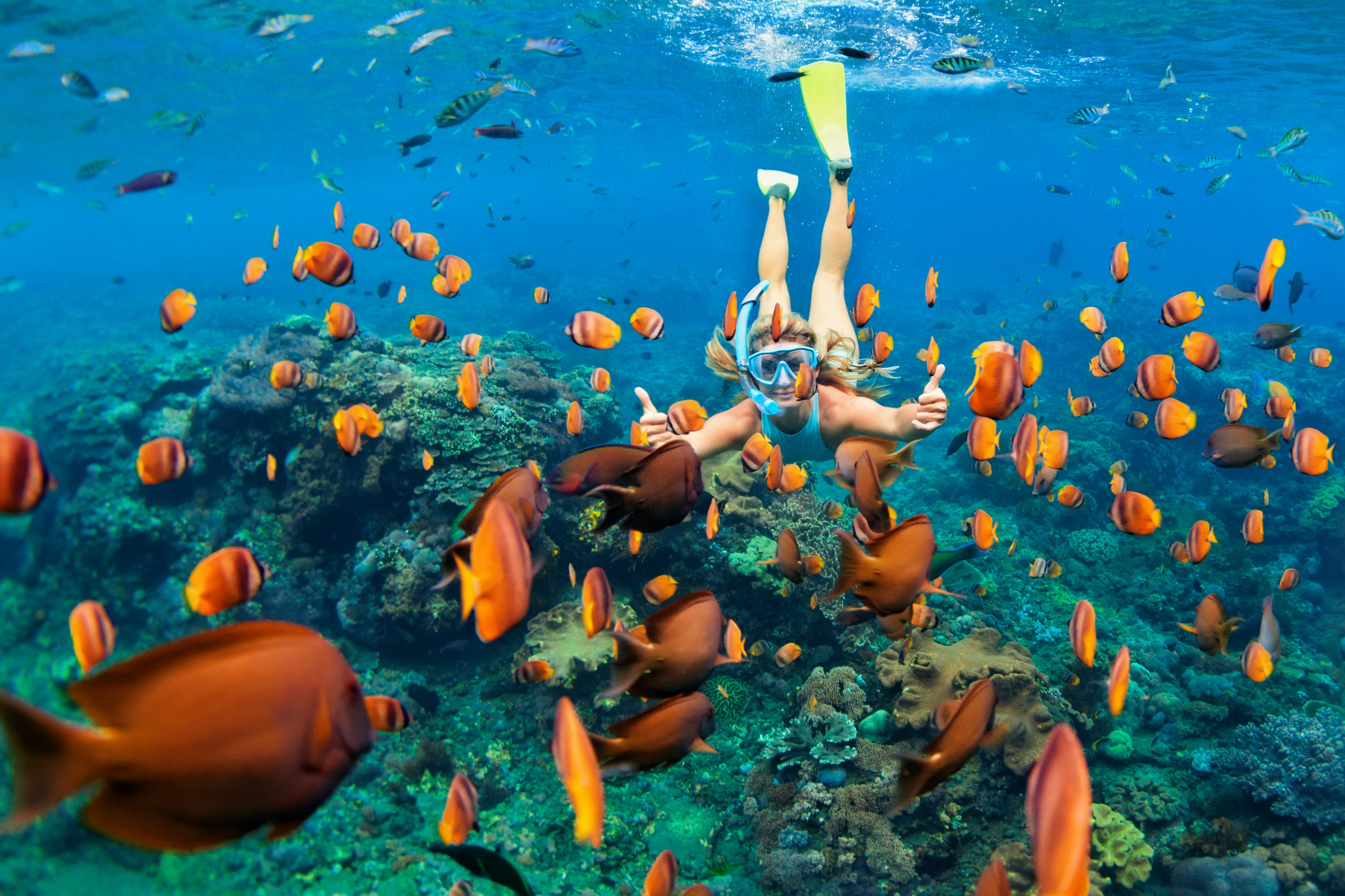 Snorkeling and Leisure Fishing